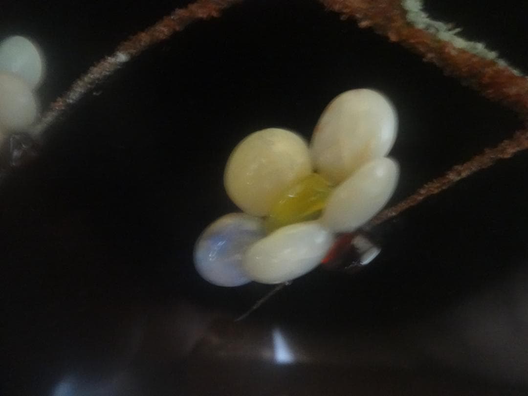 宝飾品　ふんだんに宝石（メノウ）を使って描いた花が咲いた大木