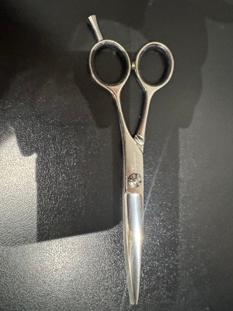 サイキシザーズ サイキシザーSAIKI SCISSORS スライドシザー6インチ