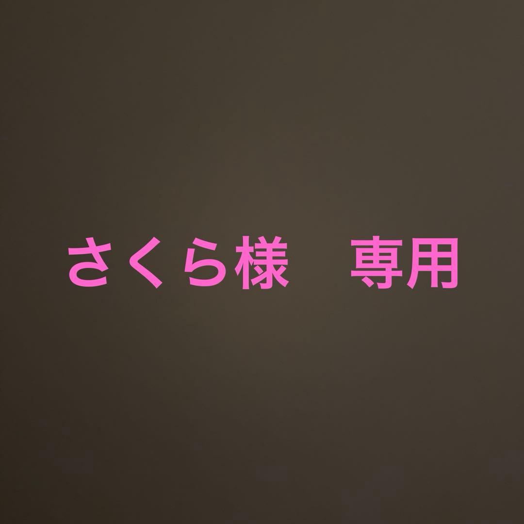 バクネ　枕　新品　白　２個せット