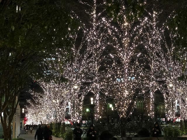 LRKストレートライト100球 ブラックコード【LRK100】白・赤色4セット