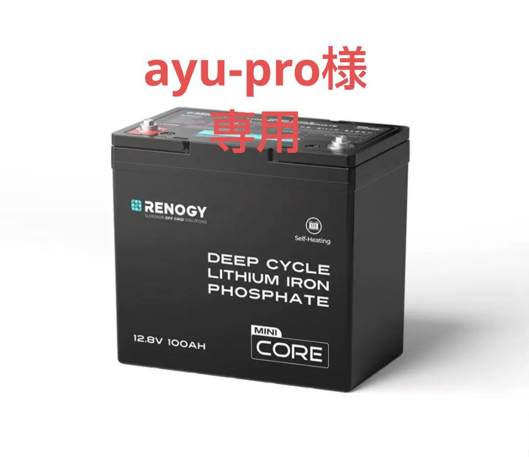未使用 RENOGY リン酸鉄リチウムイオンバッテリーRBT12100LFP-H