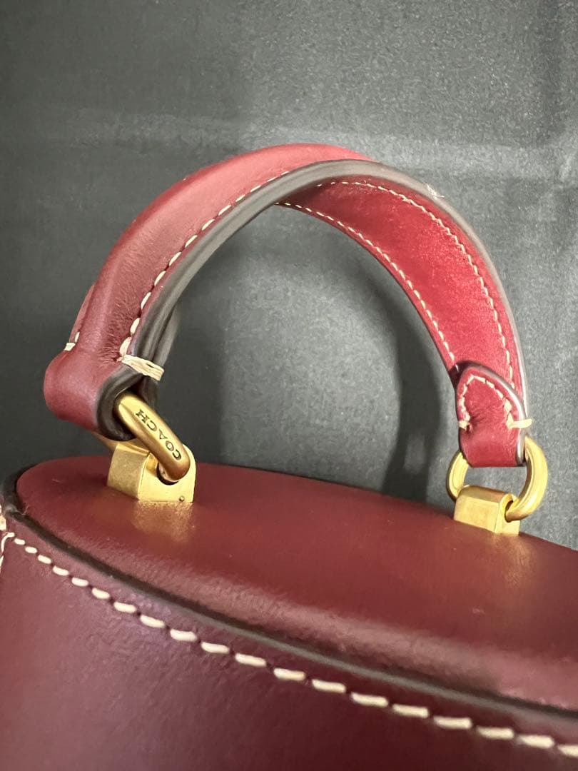 【非売品】COACHワインボトルケース/レザー/BRD/