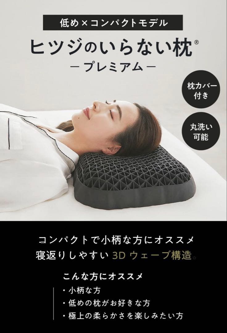 正規品✨極美品❣️ヒツジのいらない枕 プレミアム 専用枕カバー付き＋α