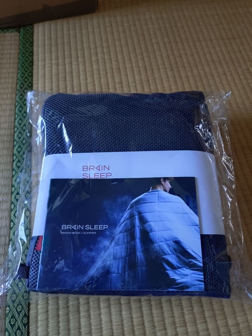 ブレインスリープ ポータブル 1/3まで！ネックピロー お試しだけしました