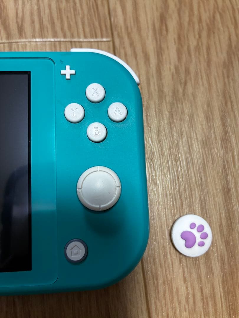 任天堂Switch light