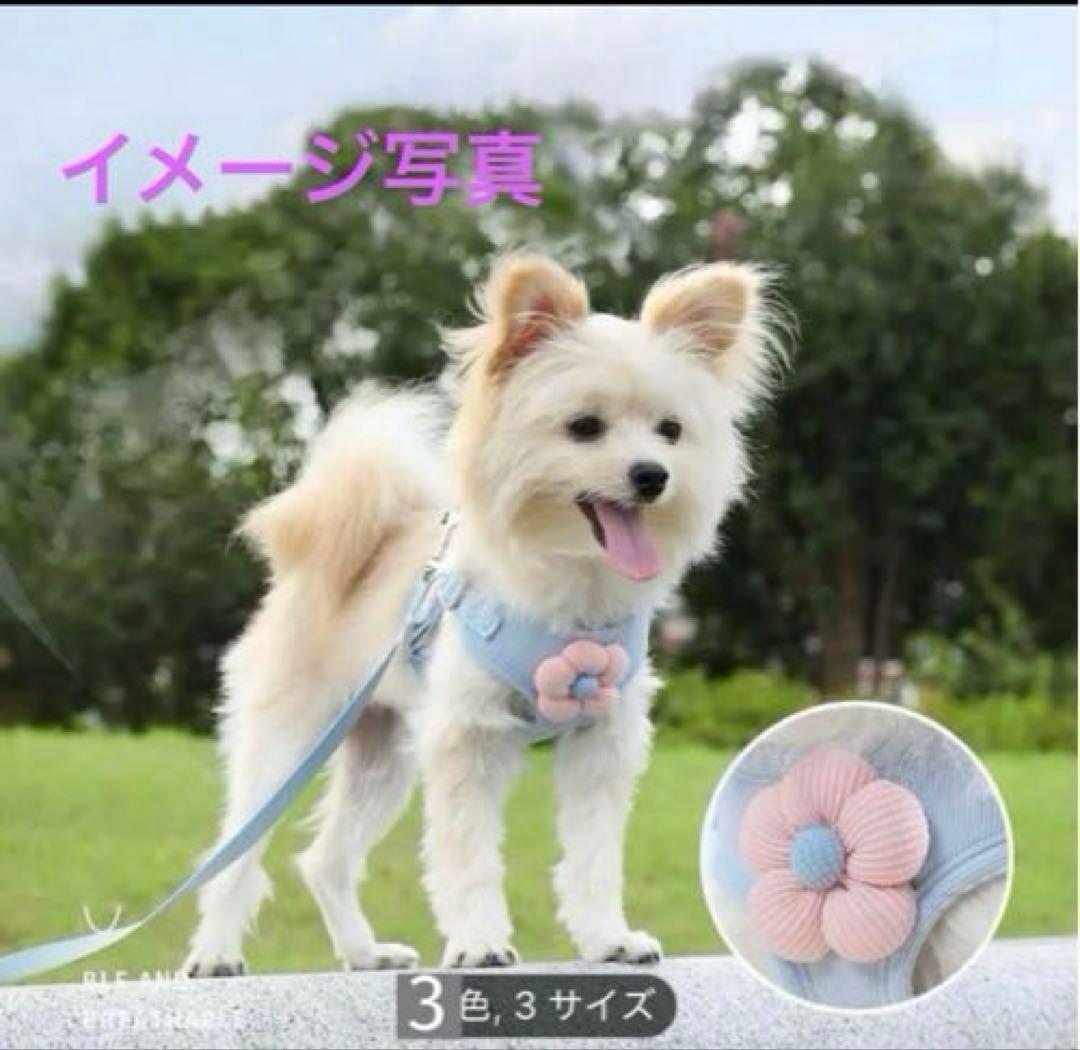 D2／イエロー ハーネスリード 花装飾付きMサイズ