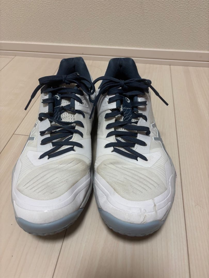 AISCS SKY ELITE FF 3 スカイエリート 27cm