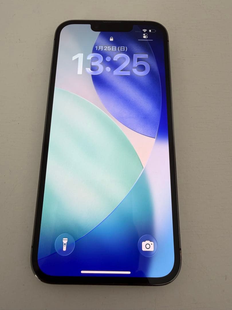 Apple iPhone 13 Pro 1TB グラファイト 本体 中古美品