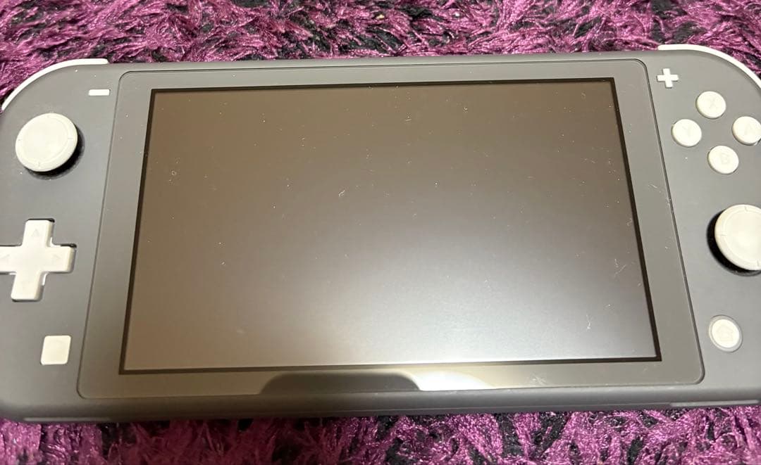 Nintendo Switch Nintendo Switch Lite GLAY