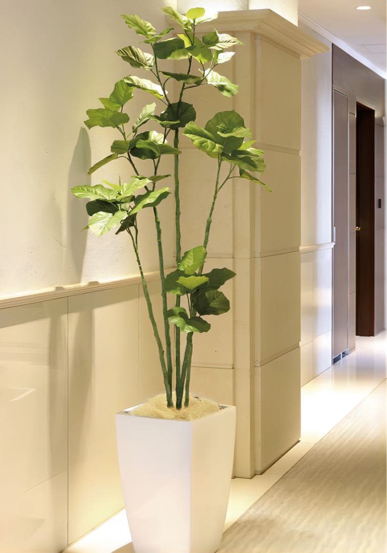光触媒　人工観葉植物　フェイクグリーン　アーバンブランチウンベラータ1.8m