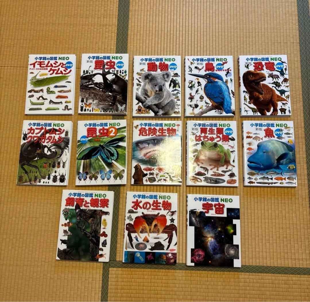 【すしろー】小学館の図鑑NEO 13冊セット　DVD付き　美品