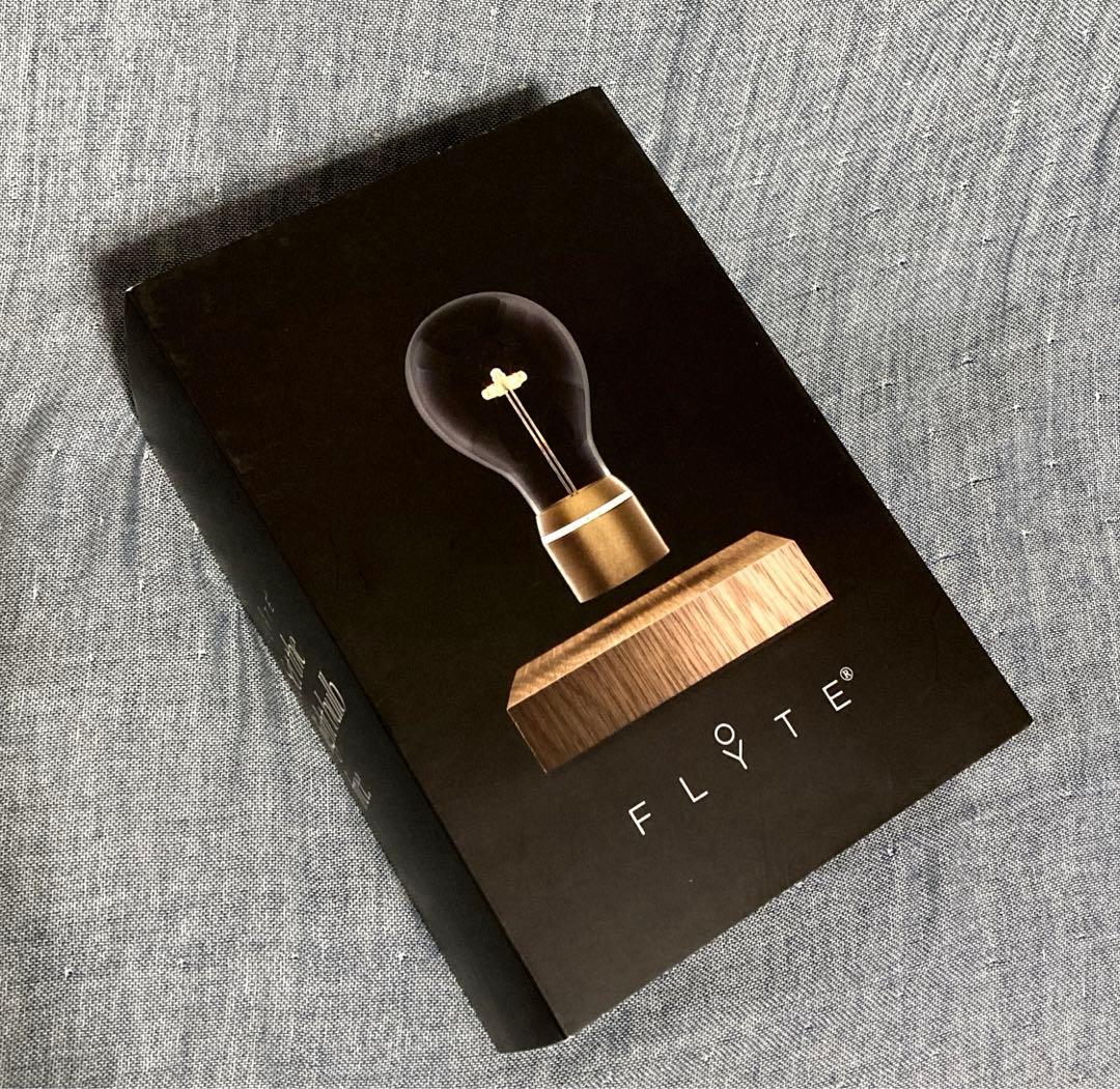 【再度お値下げ】FLYTE　フライト　照明　マンハッタン ライト 間接照明