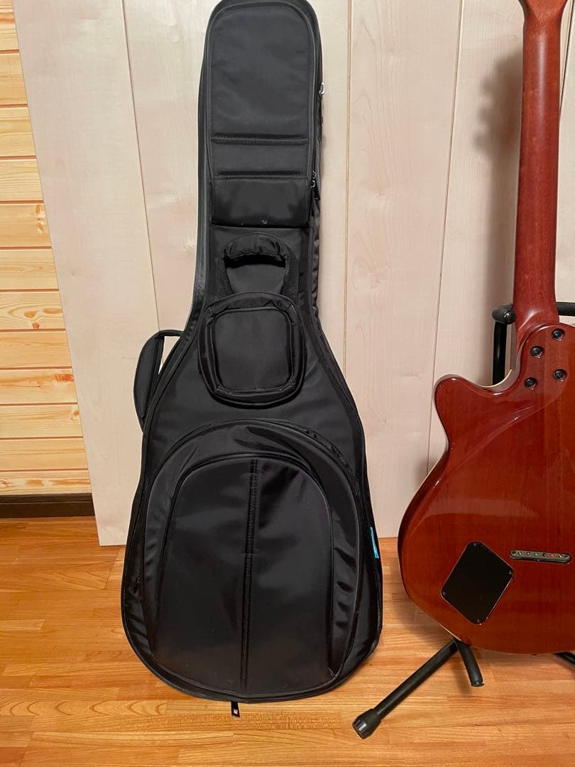 godin セミアコ　ゴダン　ギター　アコギ　dimarzio