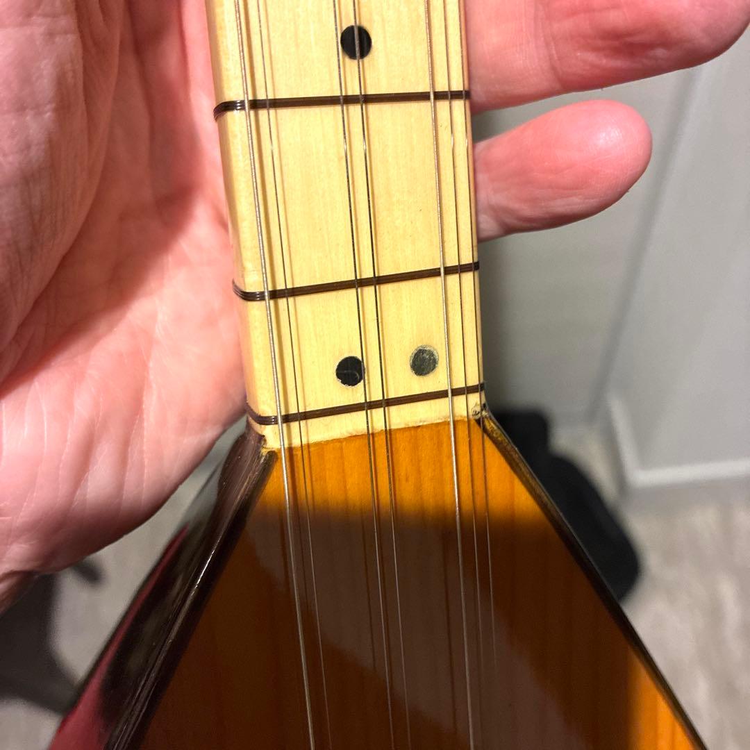 yeezeewee　サズ バーラマ ロングネックリュート トルコ 撥弦楽器