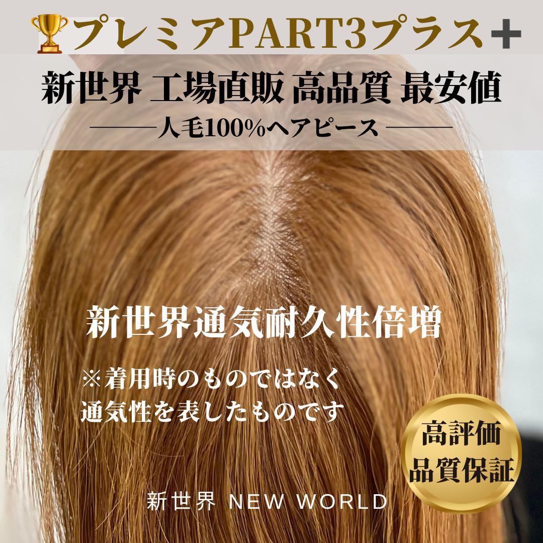 新世界プレミア真皮シリーズ★全人毛　ヘアピース　ウィッグ15*17総手植え45㌢