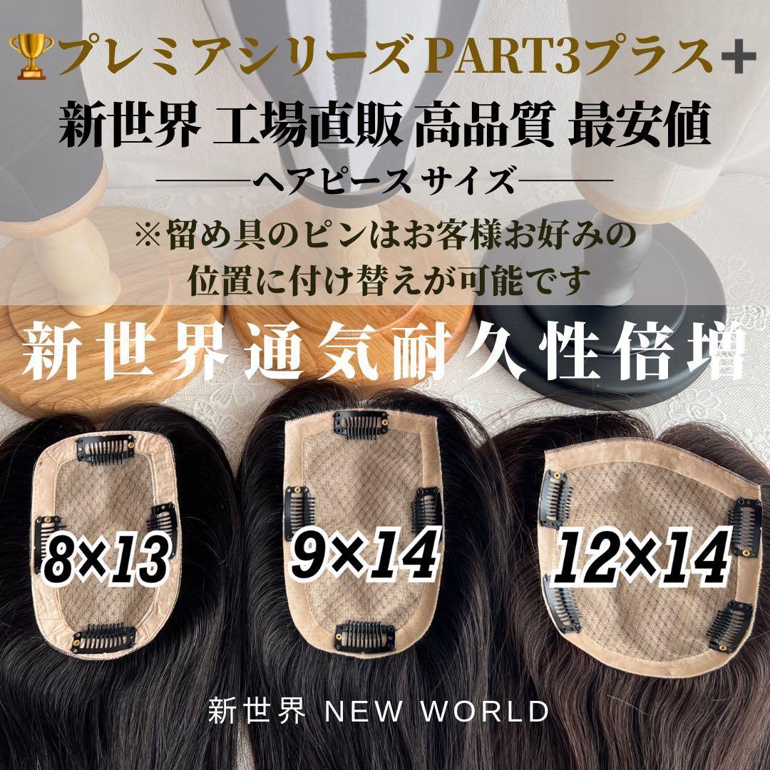 新世界プレミア真皮シリーズ★全人毛　ヘアピース　ウィッグ15*17総手植え45㌢