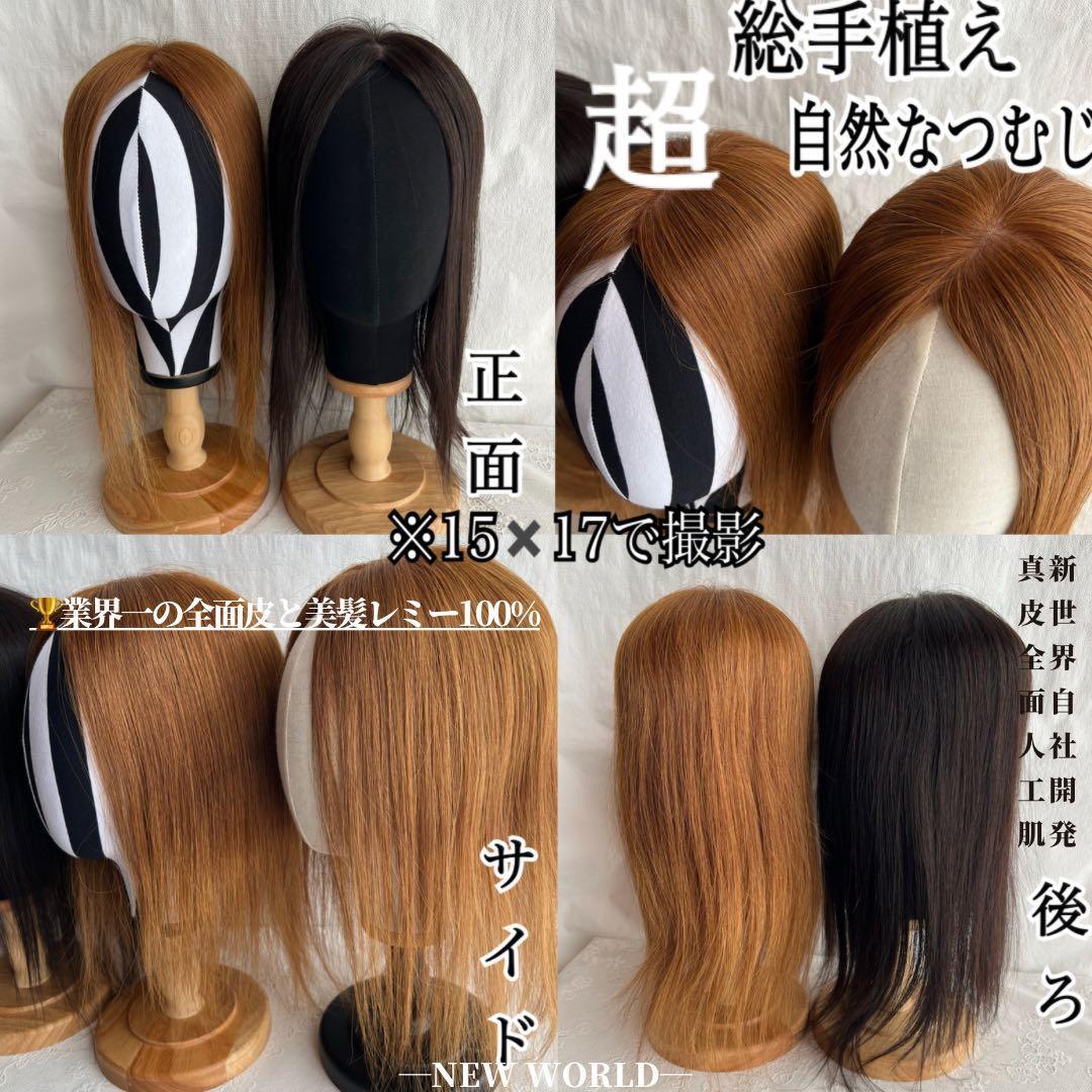 新世界プレミア真皮シリーズ★全人毛　ヘアピース　ウィッグ15*17総手植え45㌢
