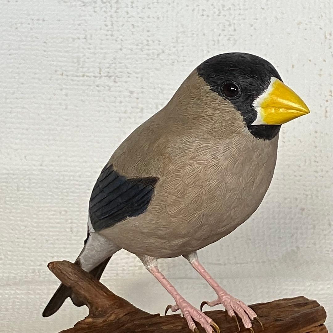 バードカービング木製鳥の彫刻(イカル)