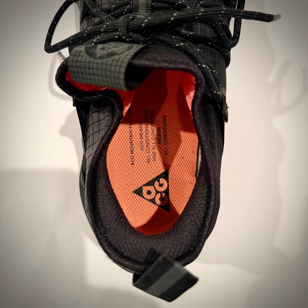 NIKE ACG マウンテンフライロー “アンスライト” US12