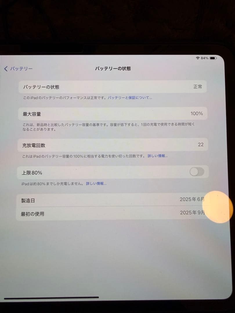 親*方様 美品 iPad Pro M4 11inch 256GB Wi-Fiモデ