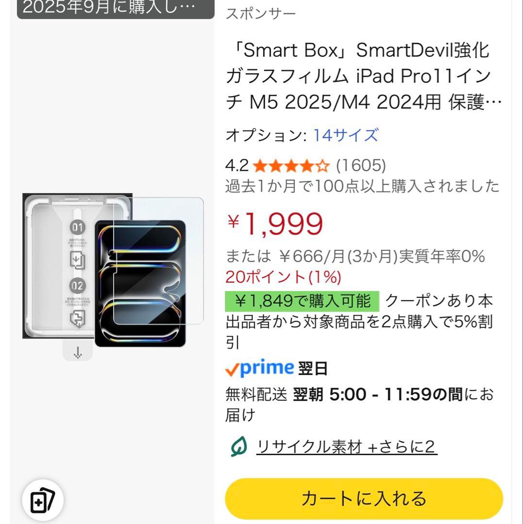 親*方様 美品 iPad Pro M4 11inch 256GB Wi-Fiモデ