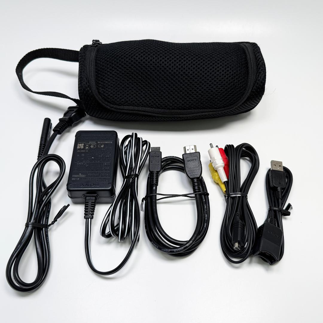 SONY Handycam HDR-PJ590V ビデオカメラ 2012年製