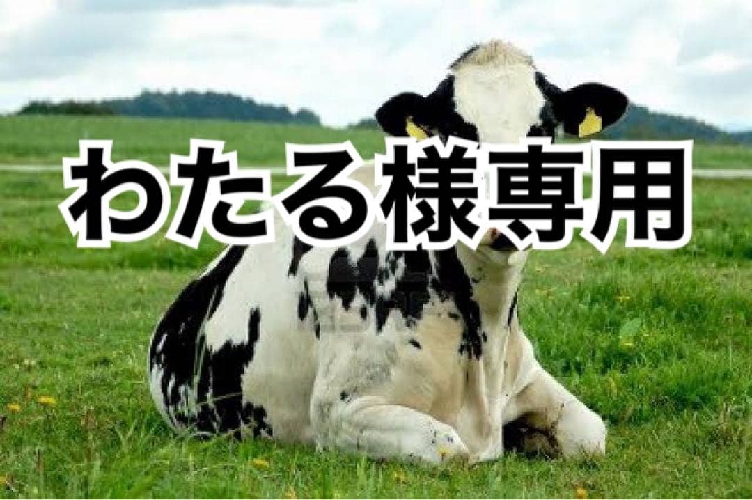 ブラウンへり10m、白へり10m、ブラウン10本