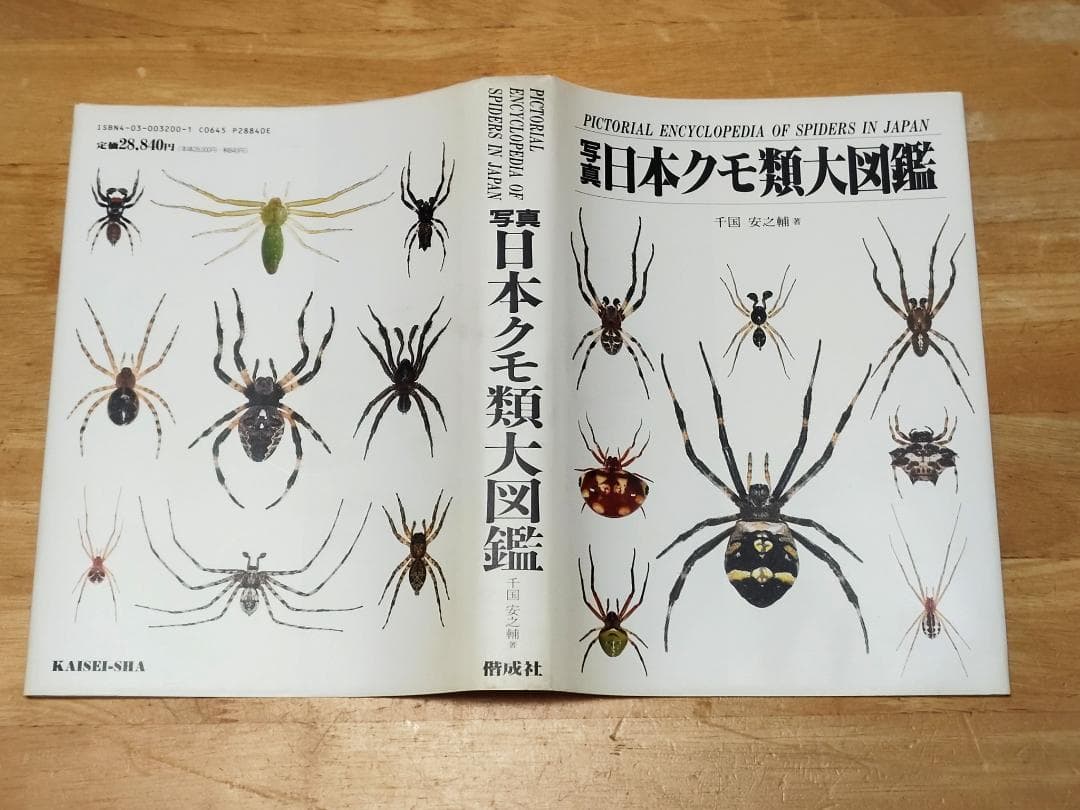 【初版本】 写真・日本クモ類大図鑑 千国安之輔著 偕成社 1989年発行