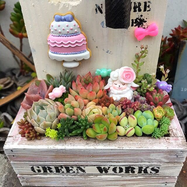★多肉植物　寄せ植え〜手作り木製HOUSE ピンク〜★