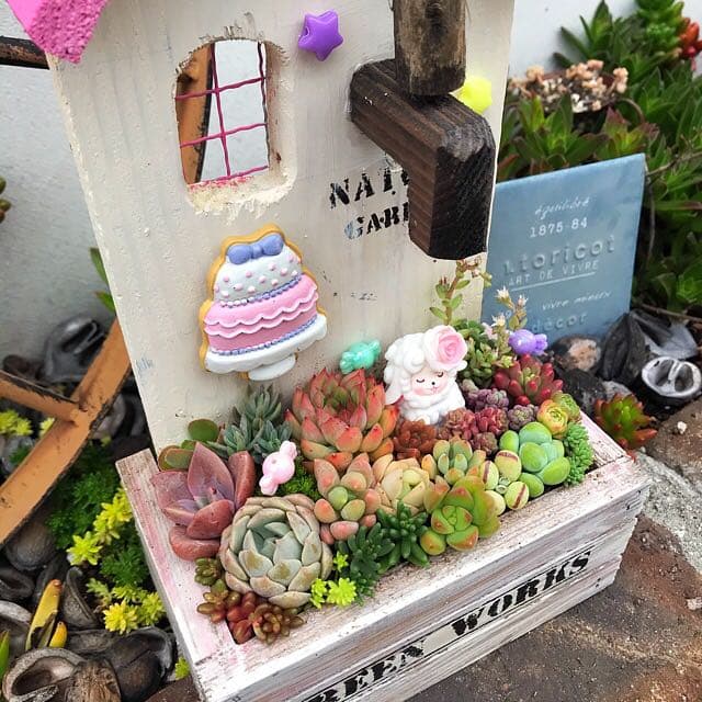 ★多肉植物　寄せ植え〜手作り木製HOUSE ピンク〜★