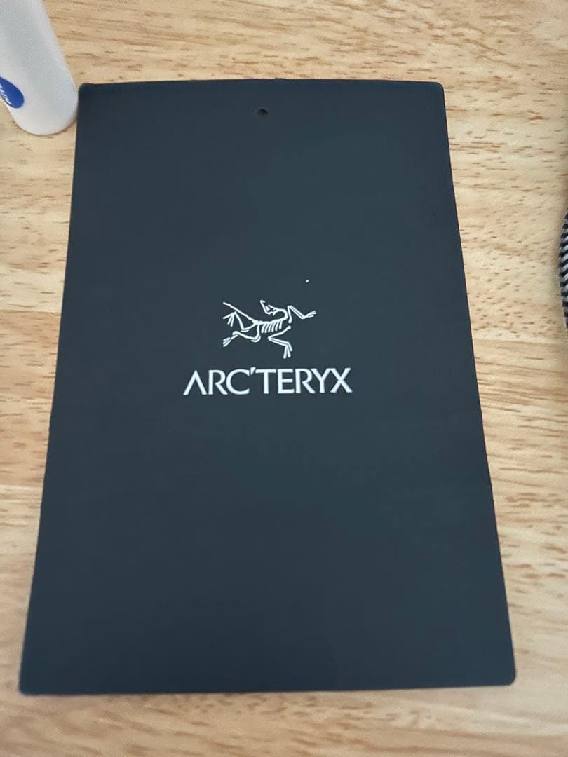 【Lサイズ】Arc'teryx Delta Hoody M