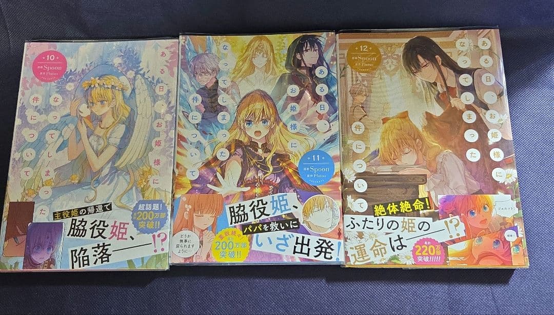 ある日、お姫様になってしまった件について　全13巻