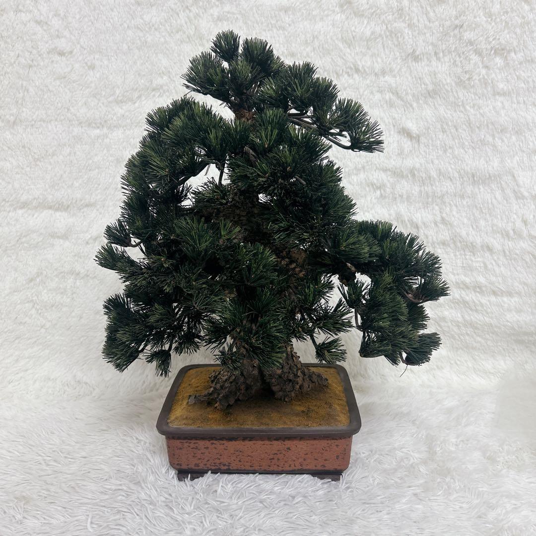 【美品】造花 盆栽 レプリカ 松　ビッグサイズ