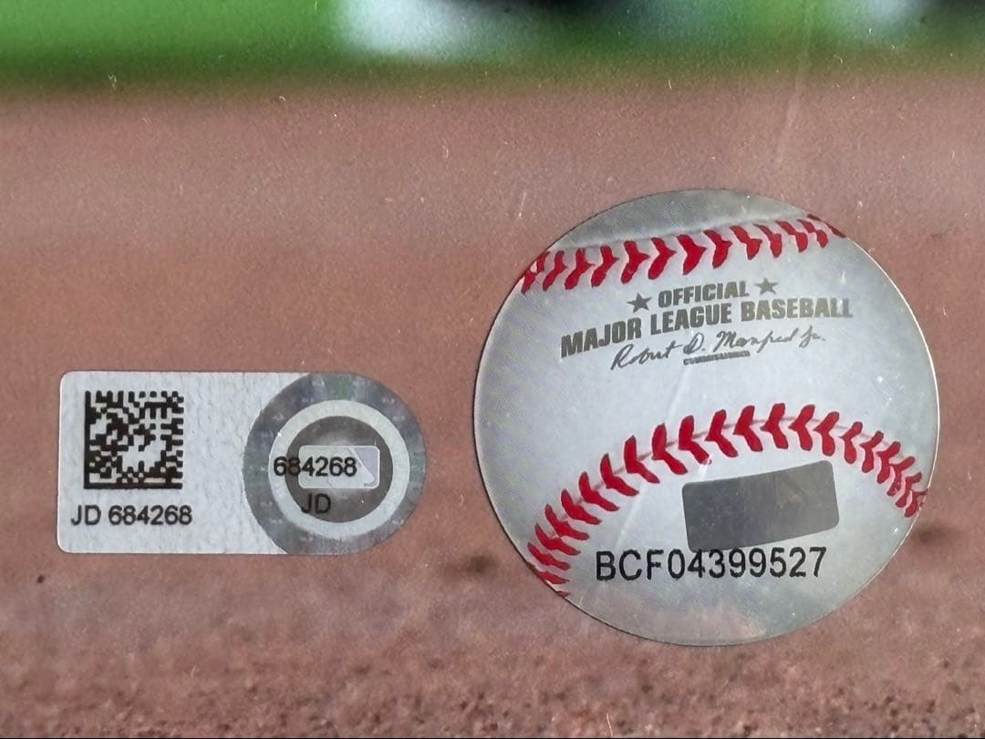 MLB機構証明! ゲレーロJR 直筆サイン写真 1st HR 5/14/19