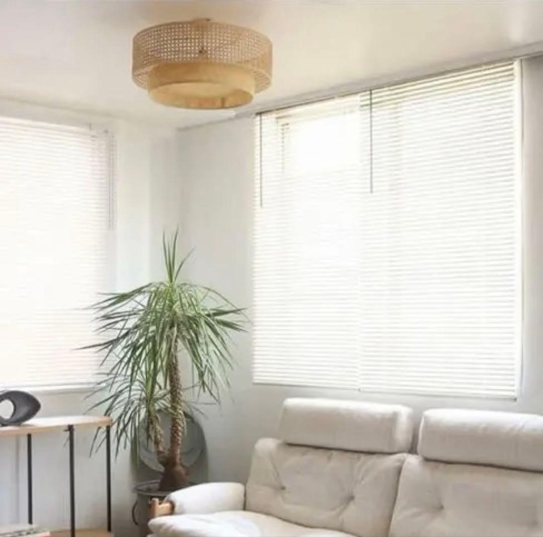 【美品】JOURNAL STANDARD LAMP｜ダフネ シーリングランプ