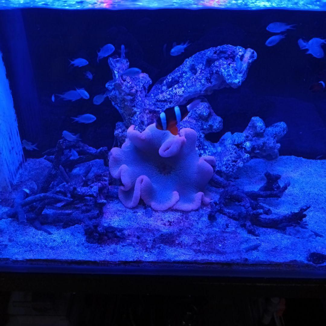 90x45x45ガラスオーバフロー水槽セット