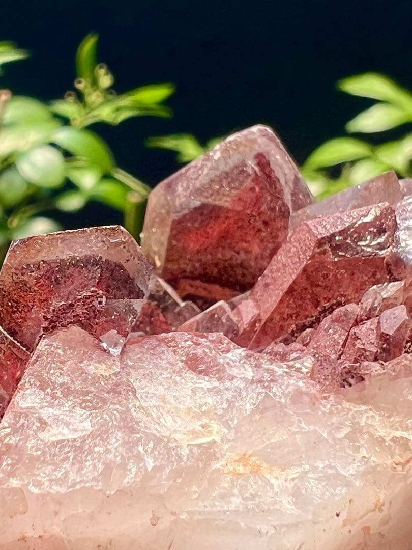 希少　ファントム水晶 100%天然赤水晶　水晶クラスター　レッドファントム