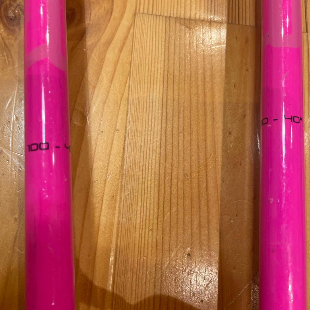 LEKI SL ストック 100cm パンチガード付き