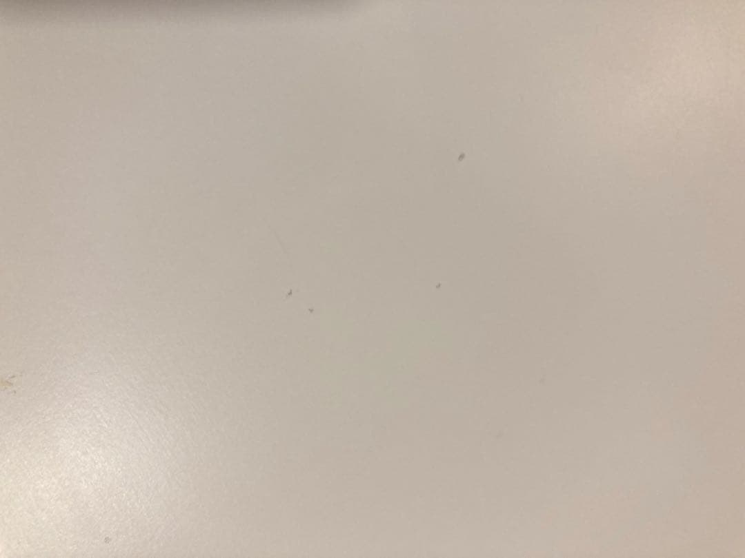 1/30まで⭐︎caracoro EVAキッズ　プレイテーブル　120サイズ