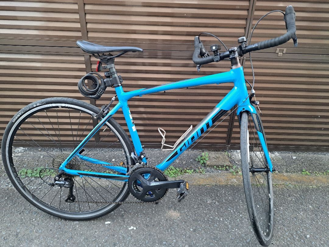 giant contend1 2019 ブルー