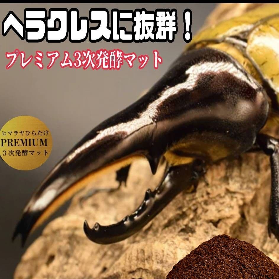 幼虫がビッグサイズに！プレミアム3次発酵カブトムシマット【60L】特殊アミノ酸入