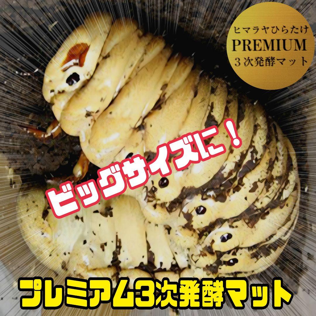 幼虫がビッグサイズに！プレミアム3次発酵カブトムシマット【60L】特殊アミノ酸入