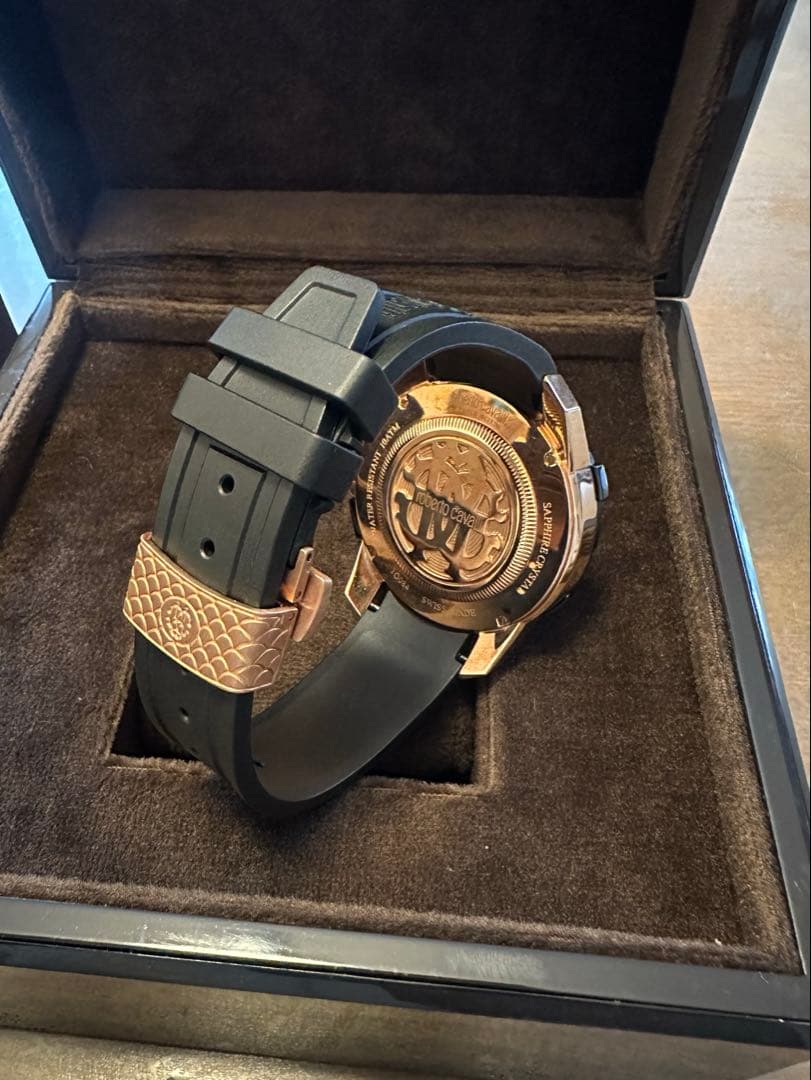 roberto cavalli by FRANCK MULLER 時計 メンズ