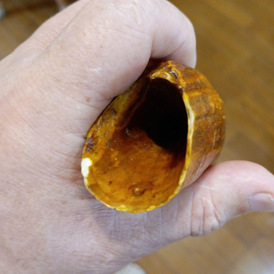 100年物鯨の歯（フィジーのタンブア）首からさげる286g