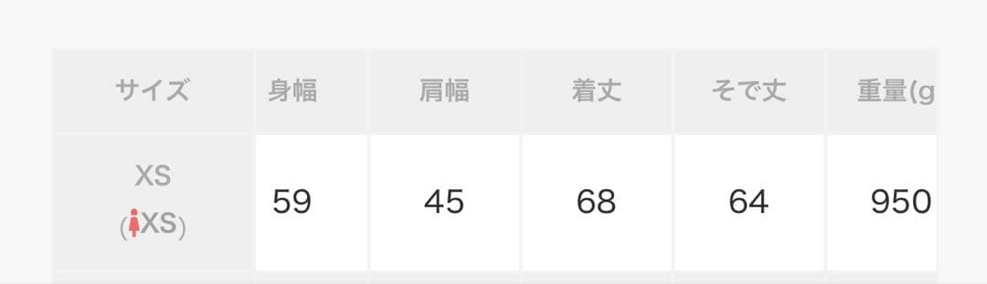＜THE NORTH FACE＞オルタレーション バフズ ジャケットXS 新品