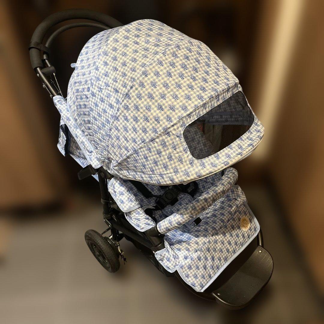 SOULEIADO × AirBuggy COCO ソレイアード エアバギー
