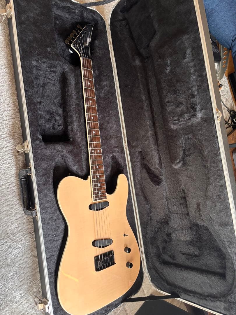 激レア品！FERNANDES TEJ Custom イベント出展品