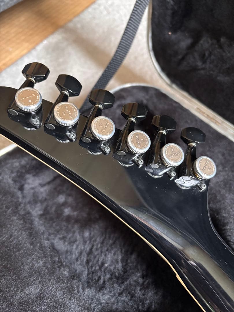 激レア品！FERNANDES TEJ Custom イベント出展品