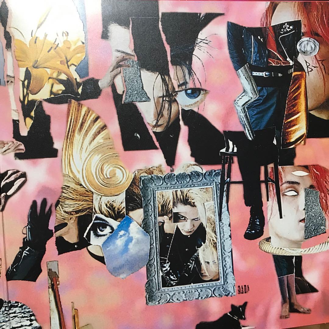 ピクチャー付き　BUCK-TICK TABOO LPレコード