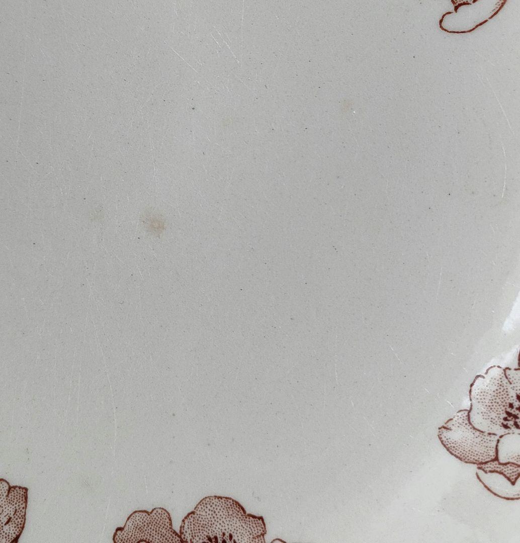 希少　美品　ジアン　アネモネ　コンポティエ　フランスアンティーク